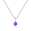 Sterling Silver February Birthstone Necklace
