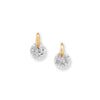 9ct Gold White Cubic Zirconia Drop Earring - Hypoallergenic 9ct Gold Jewellery for Ladies  - 10mm * 6mm