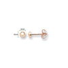 9ct Gold Ball Stud Earrings - Hypoallergenic 9ct Gold Jewellery for Ladies- 3mm * 3mm