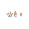 9ct Gold Star Stud Earrings with Cubic Zirconia - Hypoallergenic 9ct Gold Jewellery for Ladies - 9mm * 9mm