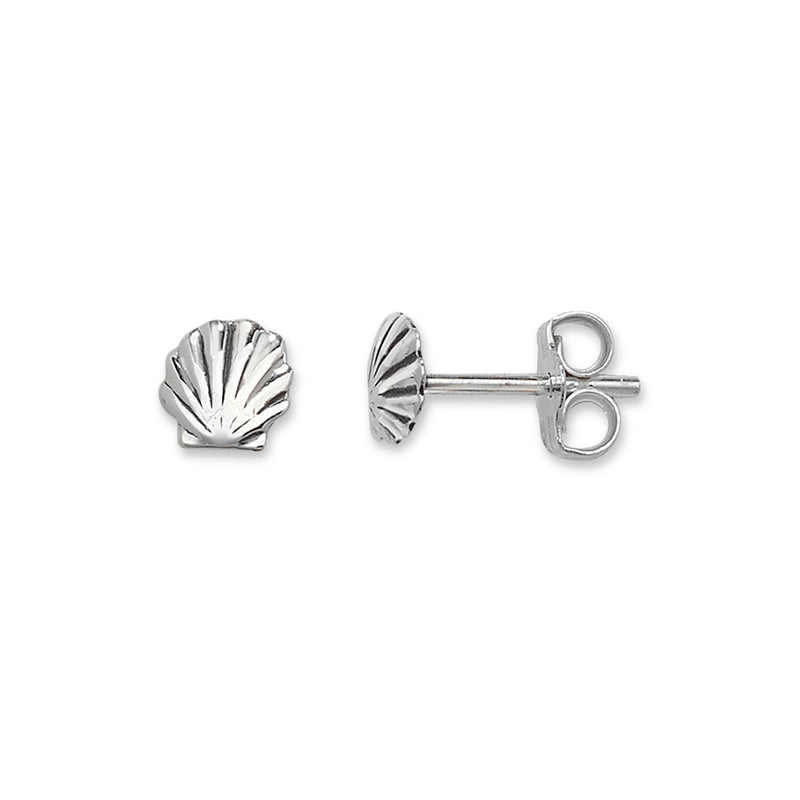 Sterling Silver Sea Shell Stud Earrings. Hypoallergenic Sterling Silver Earrings for women