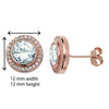 Rose Gold Plated Circle Drop Earring  - Hypoallergenic Sterling Silver Jewellery for Women