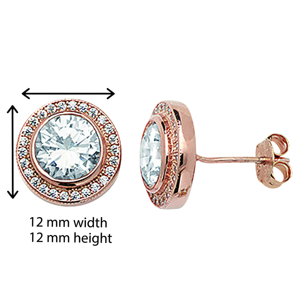 Rose Gold Plated Circle Drop Earring  - Hypoallergenic Sterling Silver Jewellery for Women