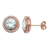 Rose Gold Plated Circle Drop Earring  - Hypoallergenic Sterling Silver Jewellery for Women