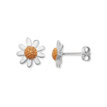 Kids Daisy Earrings, with Rose Gold Plated Floral Head. Hypoallergenic Sterling Silver Earrings for kids
