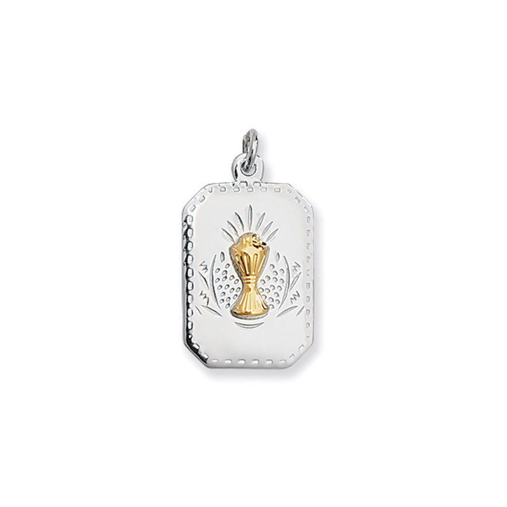 First Holy Communion Medal with Chalice Host Necklace - Hypoallergenic Sterling Silver Jewellery for Kids- 28mm * 15mm