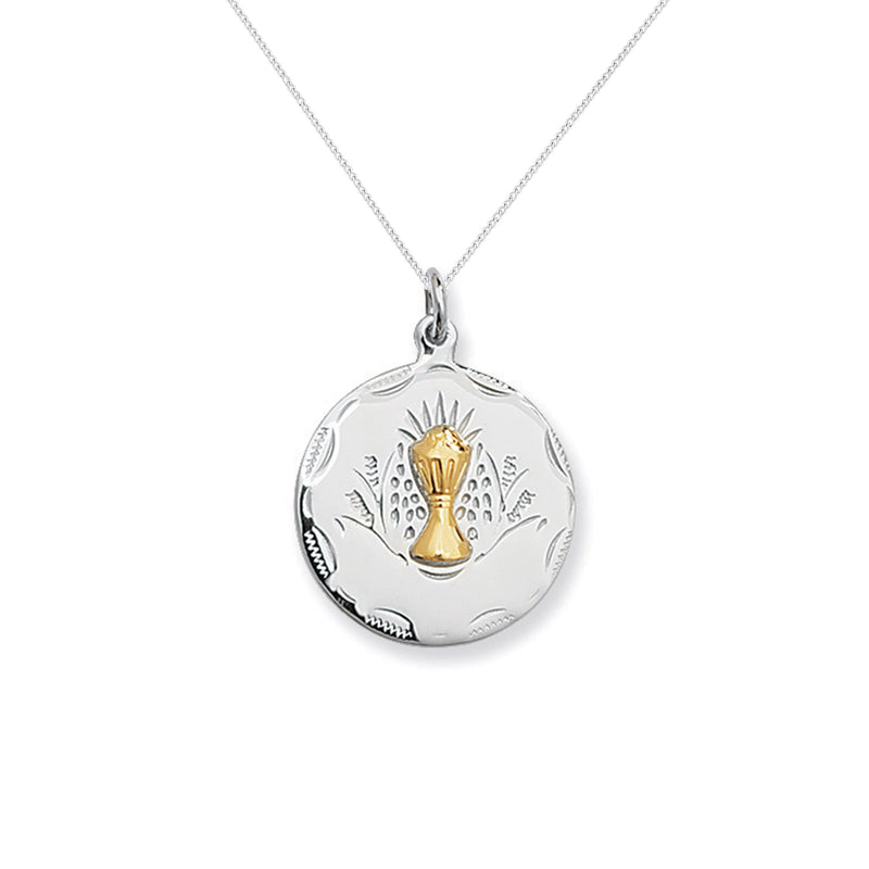 First Holy Communion Medal with Chalice Host Necklace  - Hypoallergenic Sterling Silver Jewellery for Kids - 28mm * 15mm